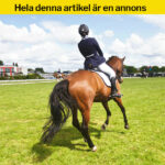 7 sporter som är så mycket svårare än de ser ut