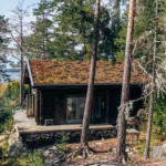 Det blir en sommar i Sverige, igen…