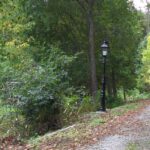 En vandring i Engelska parken